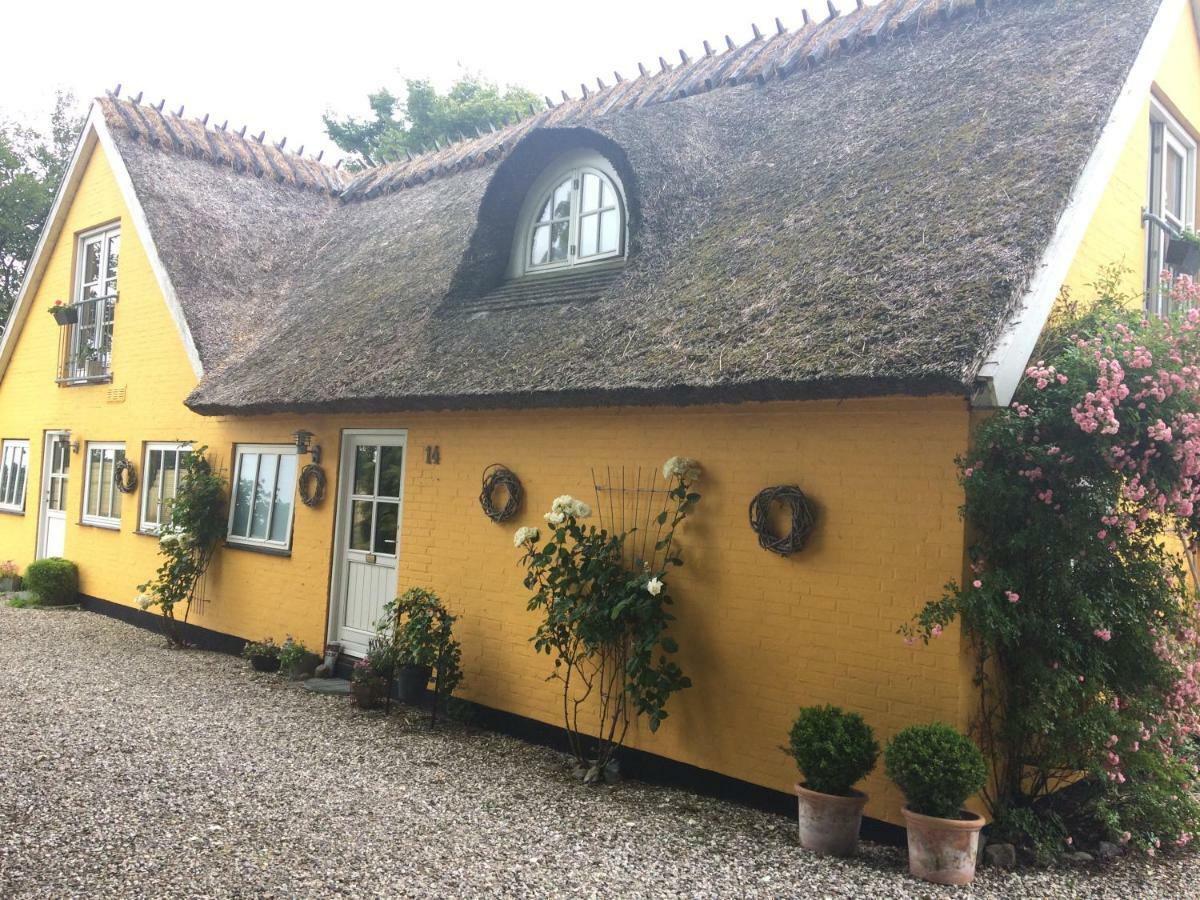 Bella Bed And Breakfast Stevns Arnoje Exterior foto
